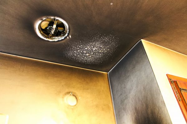 Cost of Smoke Damage Removal in American Fork